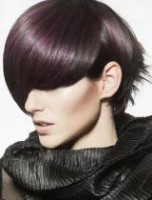 /album/fotogalerie-uvod/zima2-jpg/