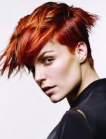 /album/fotogalerie-uvod/z15-jpg1/