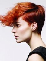 /album/fotogalerie-uvod/z16-jpg/